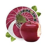 imagem do Mapa Sexual